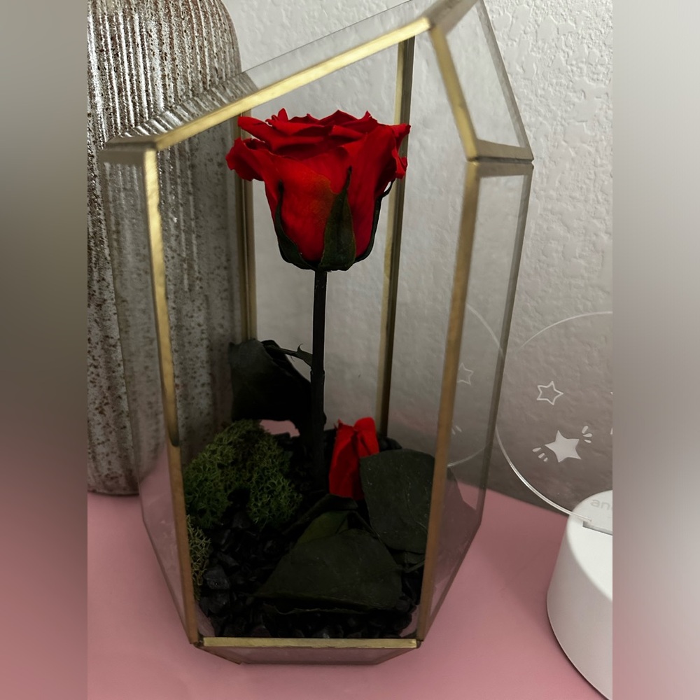 Real rose gifts